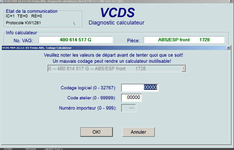 Capture VCDS 3.PNG