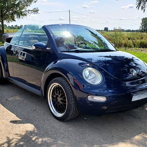 New beetle