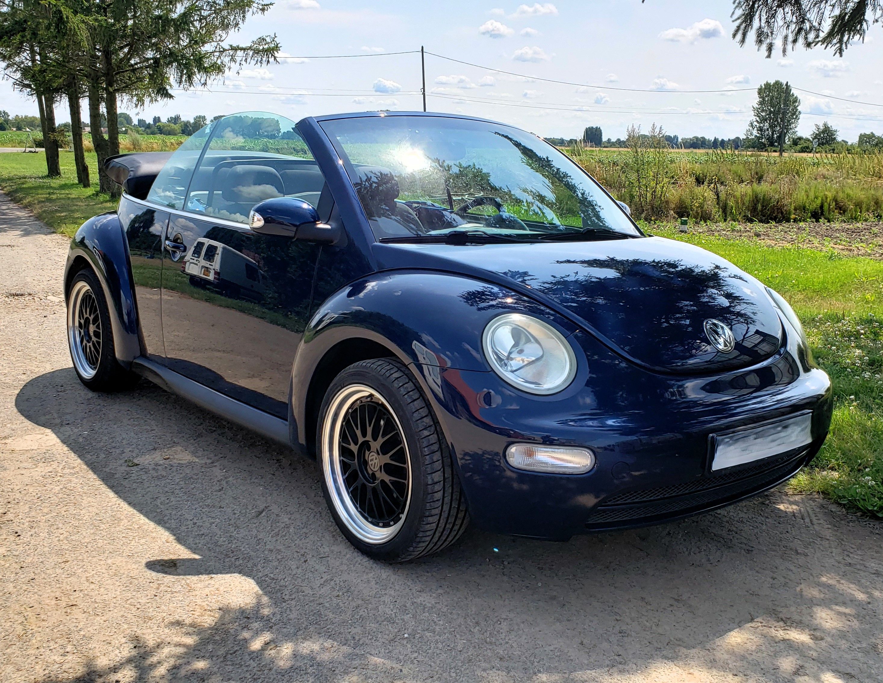 New beetle